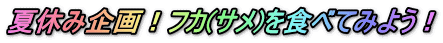 ゴールデンウィーク企画 第1弾・2弾 募集開始!